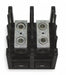 PowerDistributionBlock 310A 600V 2Poles