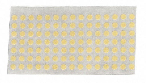 Painter sTape Crepe Tan 1/4inDia PK100