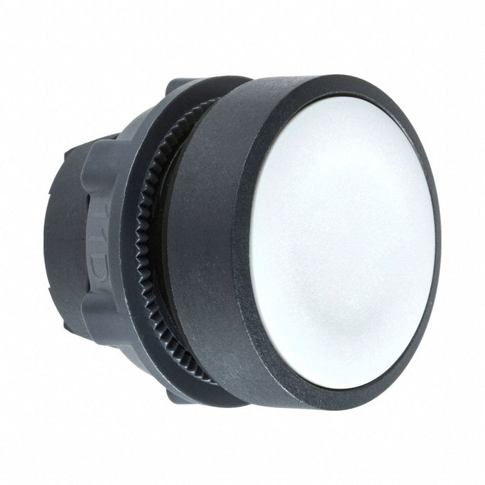 Flush Push Button Gray Non-Illum 22mm