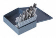 Multi Size Tap Set 10pc NC NF