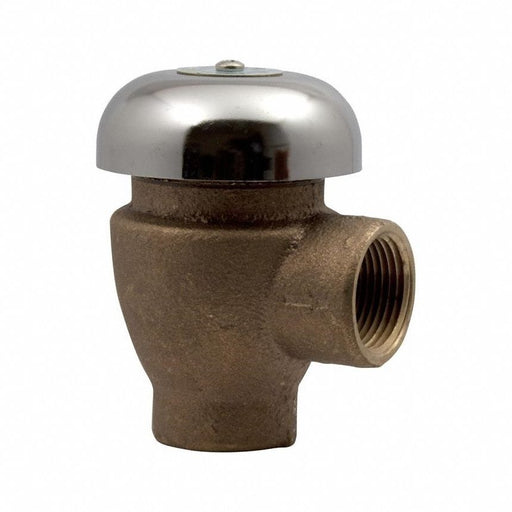 Vacuum Breaker 3/4 in FNPT 125 psi