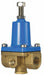 Pressure Regulator 1/2 In 20 to 175 psi