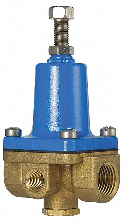 Pressure Regulator 1/2 In 20 to 175 psi