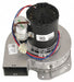Inducer Motor