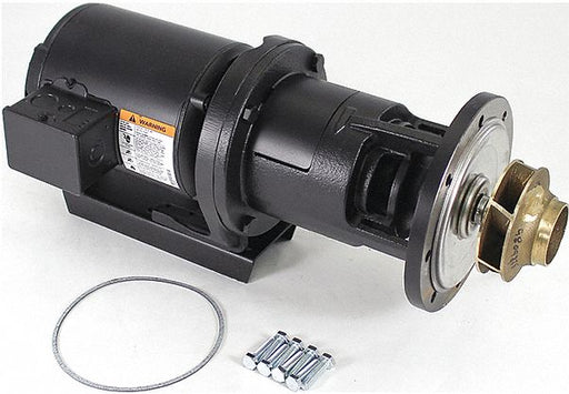Pump and Motor Assembly 1/3 hp
