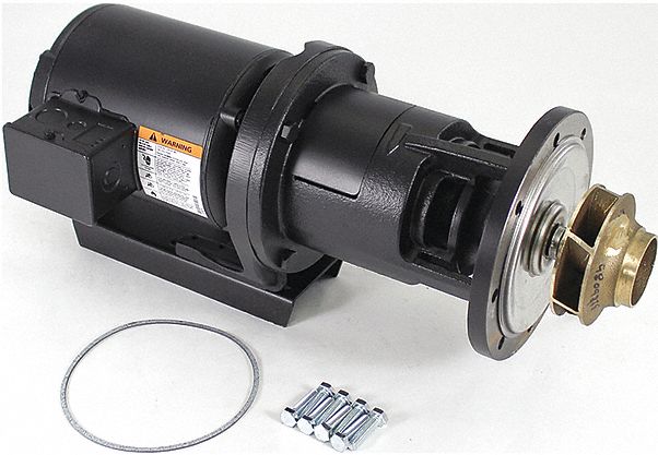 Pump and Motor Assembly 1/3 hp