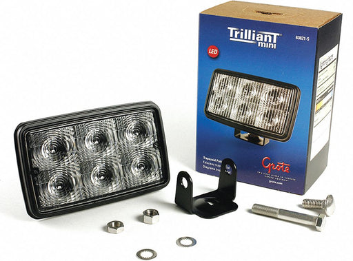 FloodLight 700lm Rectangular LED 3-5/8 H