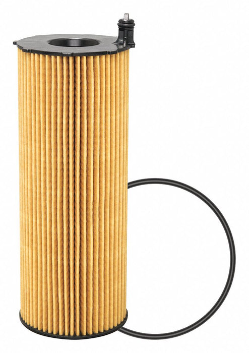 Element Only 7-7/8 L