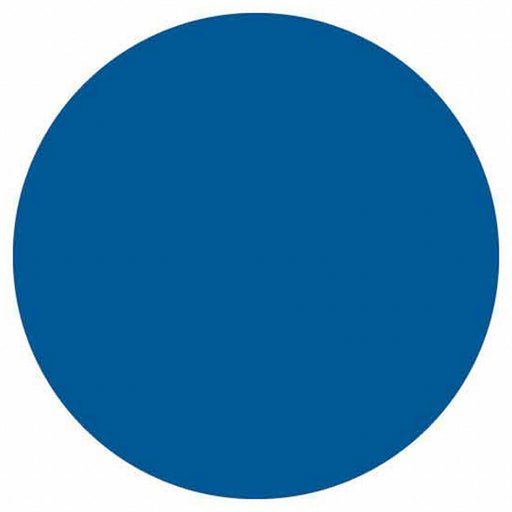 Inventory Label Blue Paper PK500