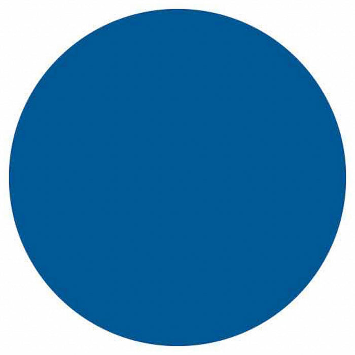 Inventory Label Blue Paper PK500