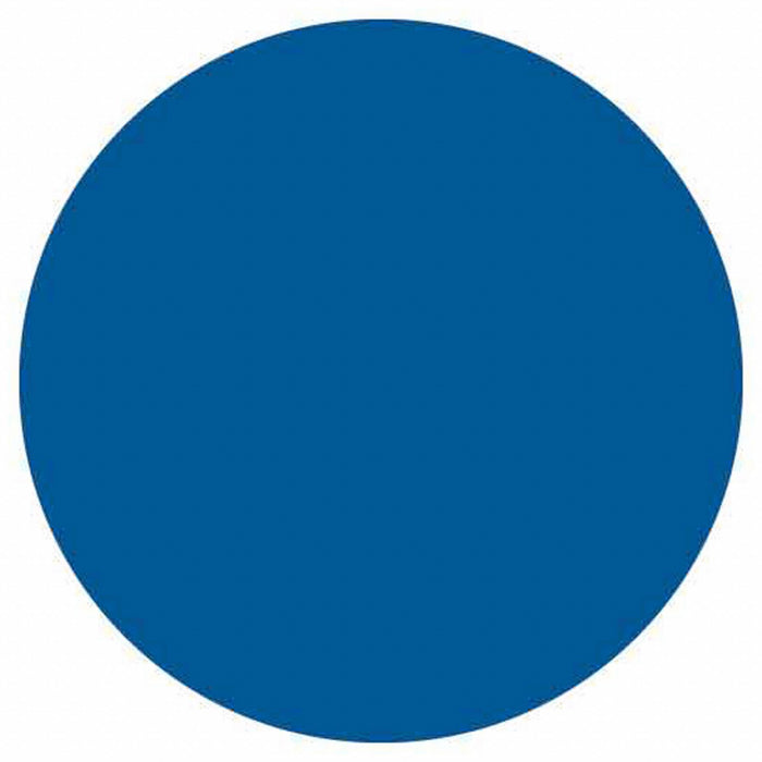 Inventory Label Blue Paper PK500