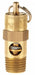Safety Valve 100 PSI