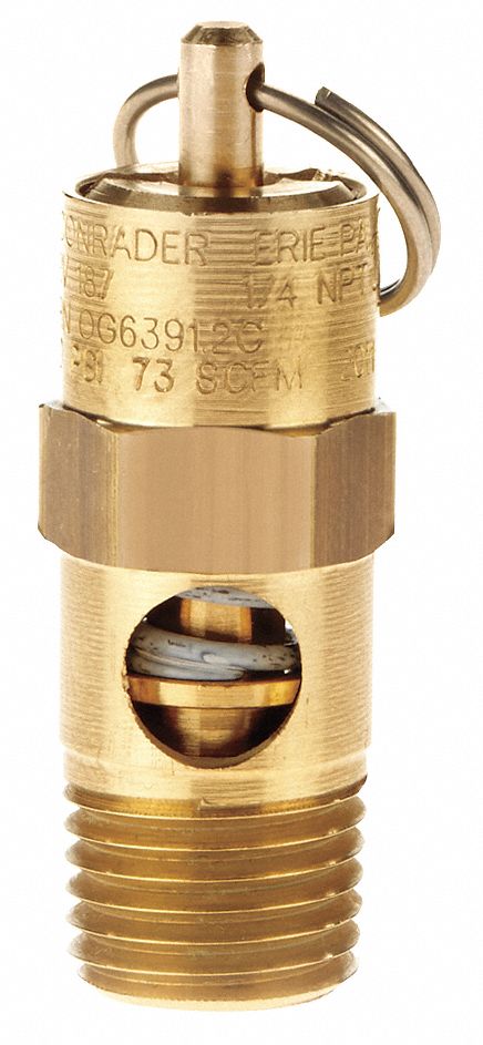 Safety Valve 100 PSI