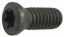 Torx Screw TS-4.7-10M1