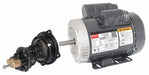 Rotary Pump 1Phase 125psi Cst Iron 1HP