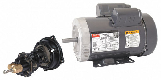 Rotary Pump 125psi Cast Iron 1-1/2HP