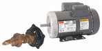 Rotary Pump 1Phase 125psi 1-1/2HP