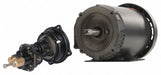 Rotary Pump 3Phase 125psi Cst Iron 1HP