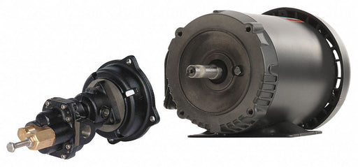 Rotary Pump 3Phase 125psi Cst Iron 1HP