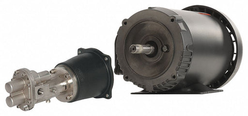 Rotary Pump Close 125psi 3.5Lift 1HP