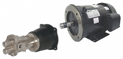 Rotary Pump Close 125psi Cast Iron 3HP