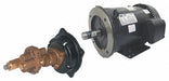 Rotary Pump Close 125psi Bronze 3HP