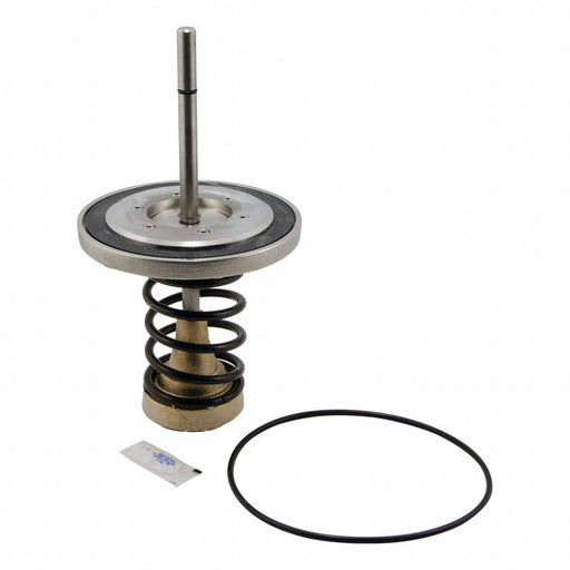 Repair Kit Watts Series 909 6 In
