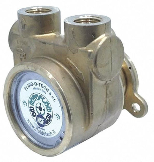Pump 1/2 NPTF 170 Max GPH SS
