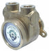 Pump 1/2 NPTF 170 Max GPH SS