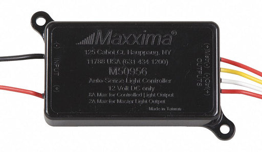 Main Harness Blunt Cut Type 3-13/64 L