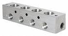 Manifold SS 4Outlets 5.5 L