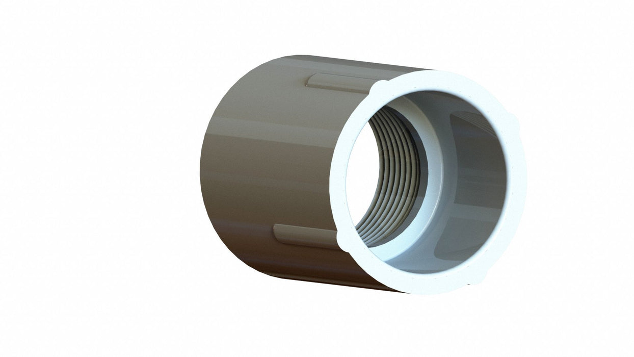 PVC Straight 3/4 in 3/4 in NPT