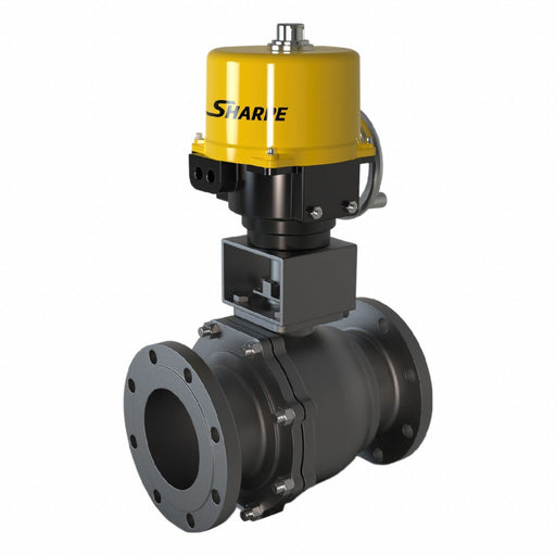 Pneumatic