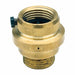 Backflow Preventer Size 3/4 125 psi