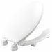 Toilet Seat Wht 14 in W 3.25 in H