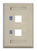 Keystone Face Plate 2-Port Dual Outlet