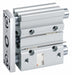Guided Cylinder 25mm Bore 250mm Stroke