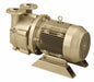 Liquid Ring Vacuum Pump 1 Stage 150 cfm