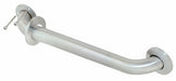 Grab Bar SS Unfinished 24 in L