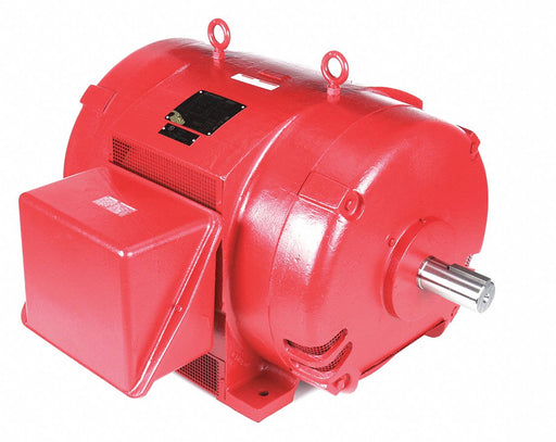 Fire Pump Motors
