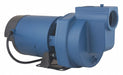 Sprinkler Pump 1 HP 1Ph 120/240VAC