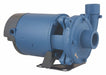 Booster Pump 1/3 hp 115/230V AC