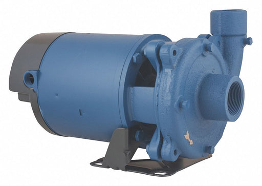 Booster Pump 1/3 hp 1 Phase 115/230V AC