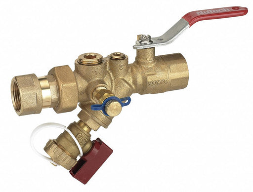 Combination Strainer Valve 1-1/4 In FNPT