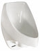 Waterless Urinal Wall Waterless