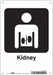 Safety Sign 10 in x 7 in Polyethylene