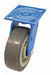 Standard Plate Caster Swivel
