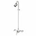 Shower Bulb 2.5 gpm