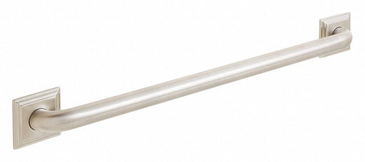 Grab Bar SS Brushed 24 in L