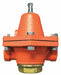 Pressure Regulator Steam 2 Inlet